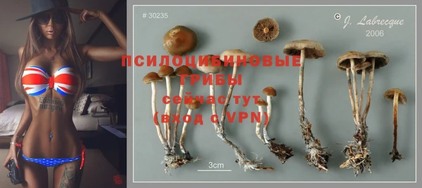 меф Гатчина