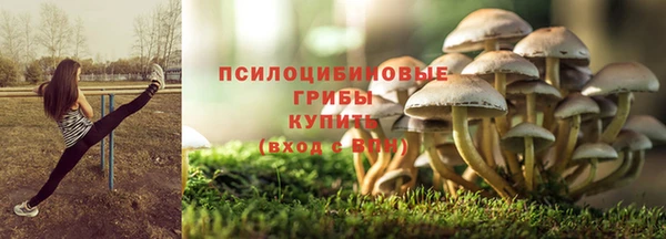 МДПВ Михайловск