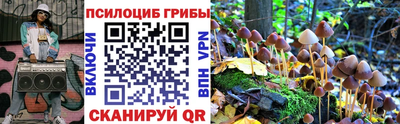 закладки  Сурск  Псилоцибиновые грибы мухоморы 